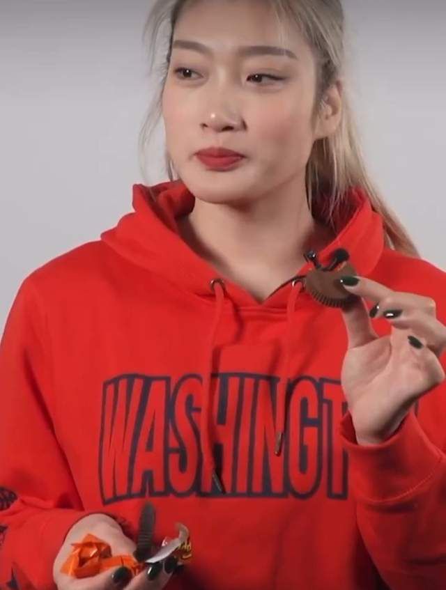 夫人善良的谎言3