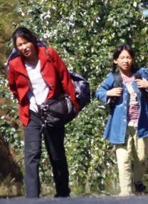 精品一区二区视频
