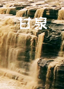 伊人天天操