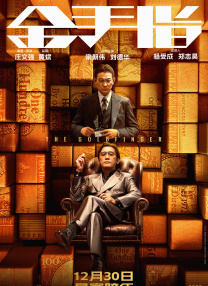 国产v片在线观看